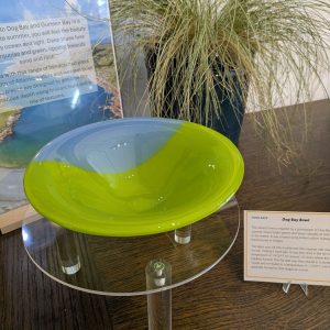 Dog's Bay Bowl